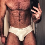 xmusclefox